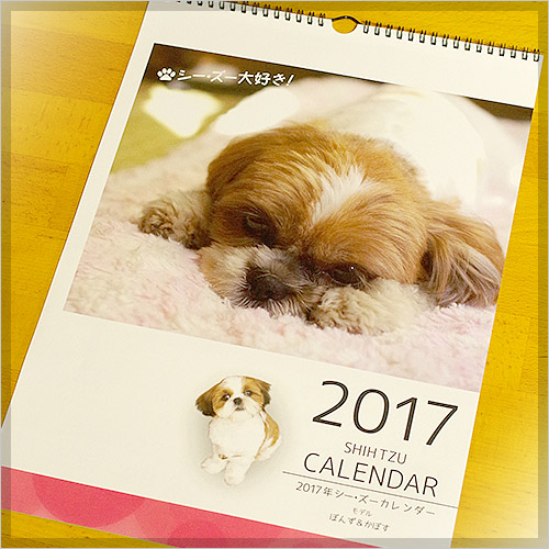 2017年度シーズーカレンダー