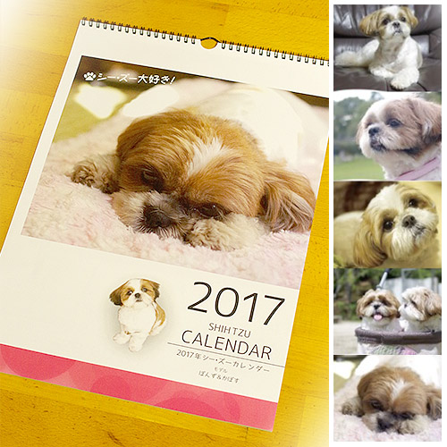 2017年度シーズーカレンダー