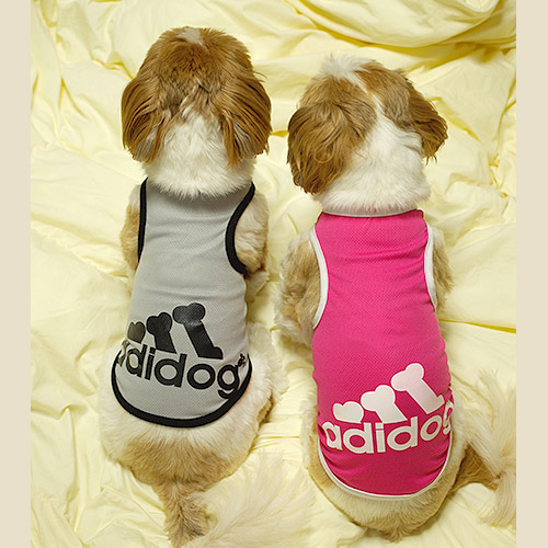 犬用タンクトップaddidog