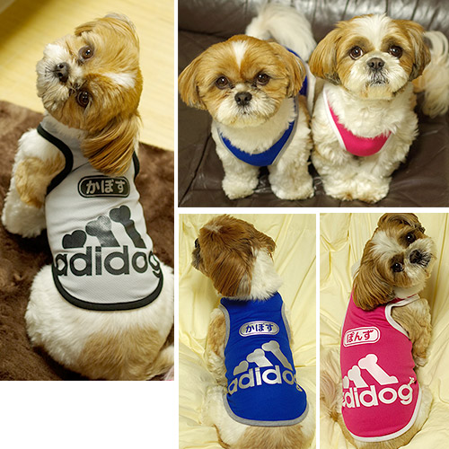 犬用タンクトップaddidog