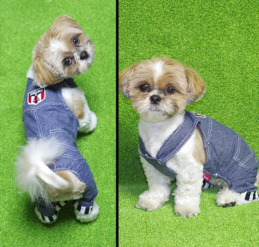 犬用デニムカバーオール