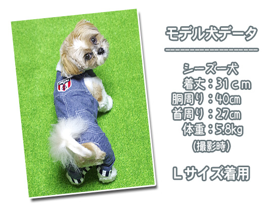 モデル着用イメージ