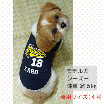 モデル犬