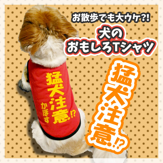猛犬注意!?犬用ネタTシャツ