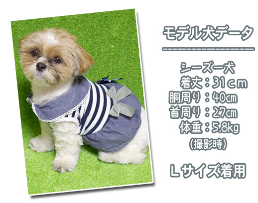 モデル着用イメージ