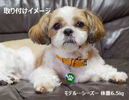 犬・猫・ペット用の迷子札(ネームプレート)