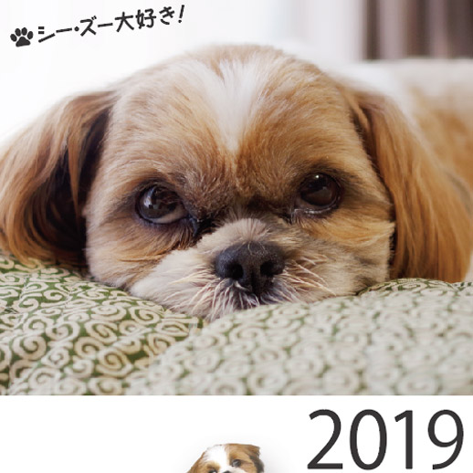 2019年壁掛けシーズーカレンダー