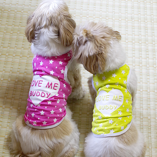 ハートのLove me buddyタンクトップ(犬の服・ドッグウェア)