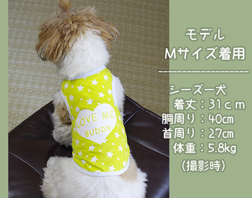 モデル着用イメージ』