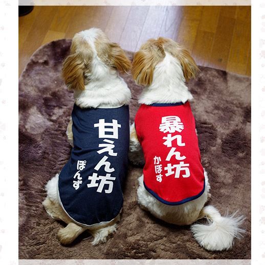 犬用ネタTシャツ