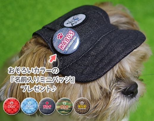 犬・猫用の帽子