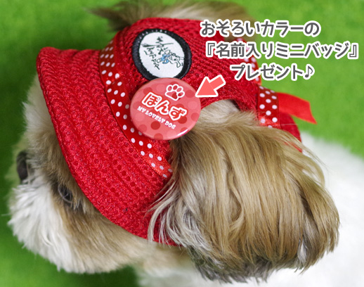 犬・猫用の帽子
