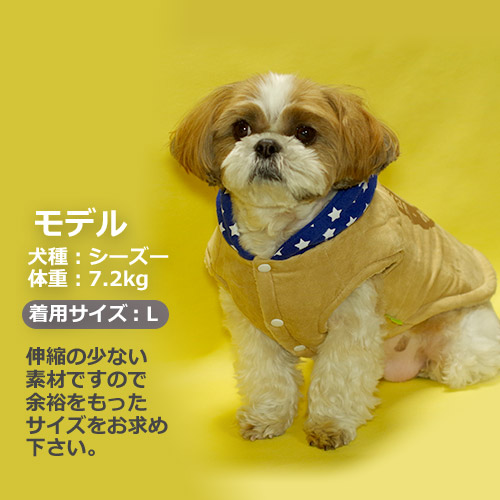 モデル着用イメージ