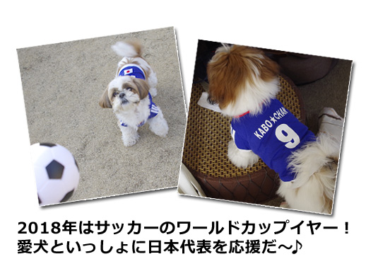 名前入 背番号入り 犬用サッカーユニフォーム 犬の服 日本代表