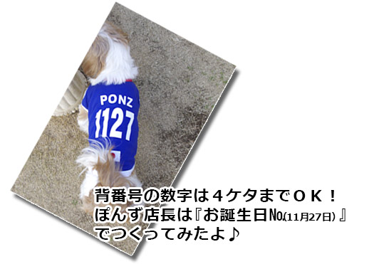 サッカー日本代表、名前&背番号入り犬用ユニフォーム
