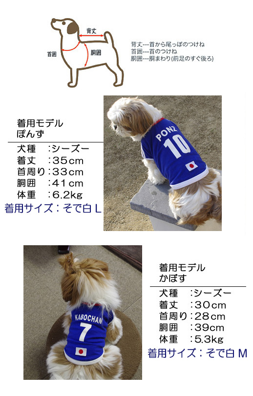 モデル犬