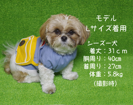 犬の服『幼稚園コスチューム』